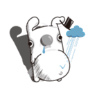 Dumpy Rabbit（個別スタンプ：37）
