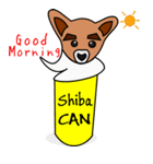 Shiba CAN ＆ Tora CAN 1 (Eng)（個別スタンプ：5）