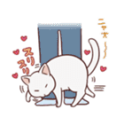 ふくねこ（個別スタンプ：5）