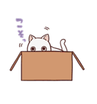 ふくねこ（個別スタンプ：25）