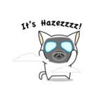 Mat, The Cat（個別スタンプ：19）
