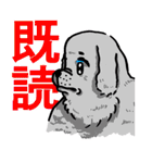ちゃんきーすたんぷ01（個別スタンプ：4）