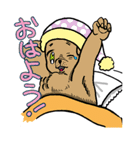 ちゃんきーすたんぷ01（個別スタンプ：10）