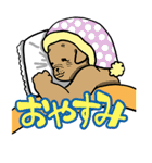 ちゃんきーすたんぷ01（個別スタンプ：11）