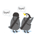 双子ペンギンPee ＆ Chee（個別スタンプ：3）