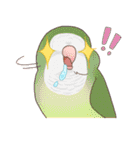 Chirping Bird（個別スタンプ：31）
