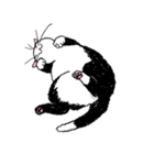 白黒ねこず（個別スタンプ：2）