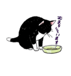 白黒ねこず（個別スタンプ：30）