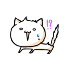 しっぽねこ（個別スタンプ：12）