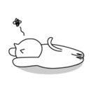 cat（個別スタンプ：31）