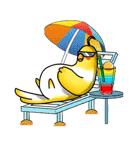 Sun bird Tony and his daily life（個別スタンプ：24）
