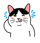 Wish名物にゃんこスタンプ（個別スタンプ：11）