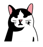 Wish名物にゃんこスタンプ（個別スタンプ：16）