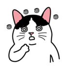 Wish名物にゃんこスタンプ（個別スタンプ：19）