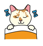 Wish名物にゃんこスタンプ（個別スタンプ：20）