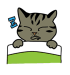 Wish名物にゃんこスタンプ（個別スタンプ：21）
