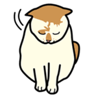Wish名物にゃんこスタンプ（個別スタンプ：24）