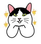 Wish名物にゃんこスタンプ（個別スタンプ：27）
