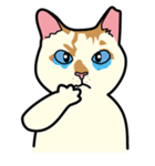 Wish名物にゃんこスタンプ（個別スタンプ：38）