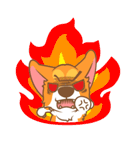 Pon Corgi（個別スタンプ：1）