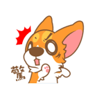 Pon Corgi（個別スタンプ：3）