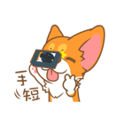 Pon Corgi（個別スタンプ：7）