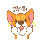 Pon Corgi（個別スタンプ：10）