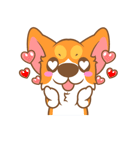 Pon Corgi（個別スタンプ：13）