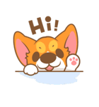 Pon Corgi（個別スタンプ：19）