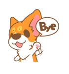 Pon Corgi（個別スタンプ：20）