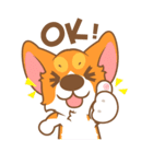 Pon Corgi（個別スタンプ：22）