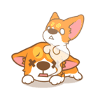 Pon Corgi（個別スタンプ：25）