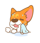 Pon Corgi（個別スタンプ：26）