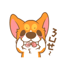 Pon Corgi（個別スタンプ：29）