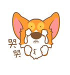 Pon Corgi（個別スタンプ：30）