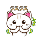 白ねこファビさん（個別スタンプ：11）