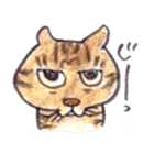 momo cat stamp（個別スタンプ：11）