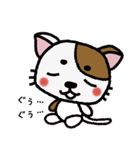 まろねこ☆スタンプ（個別スタンプ：13）