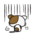 まろねこ☆スタンプ（個別スタンプ：40）