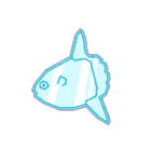 マンボウの生態（個別スタンプ：24）