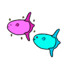 マンボウの生態（個別スタンプ：33）