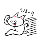 しろめちゃん（個別スタンプ：40）