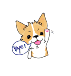 The Corgi BarneyAh and her three buddies（個別スタンプ：24）