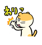 猫あやまり（個別スタンプ：4）