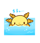うぱるぱ ほのぼのスタンプ（個別スタンプ：13）