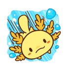 うぱるぱ ほのぼのスタンプ（個別スタンプ：20）