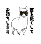 パンダねこのミンクちゃん(日本語版)（個別スタンプ：15）