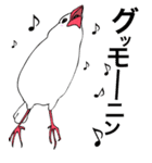 小生意気な文鳥たち（個別スタンプ：1）