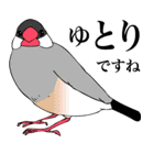 小生意気な文鳥たち（個別スタンプ：11）