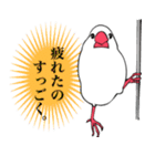 小生意気な文鳥たち（個別スタンプ：22）